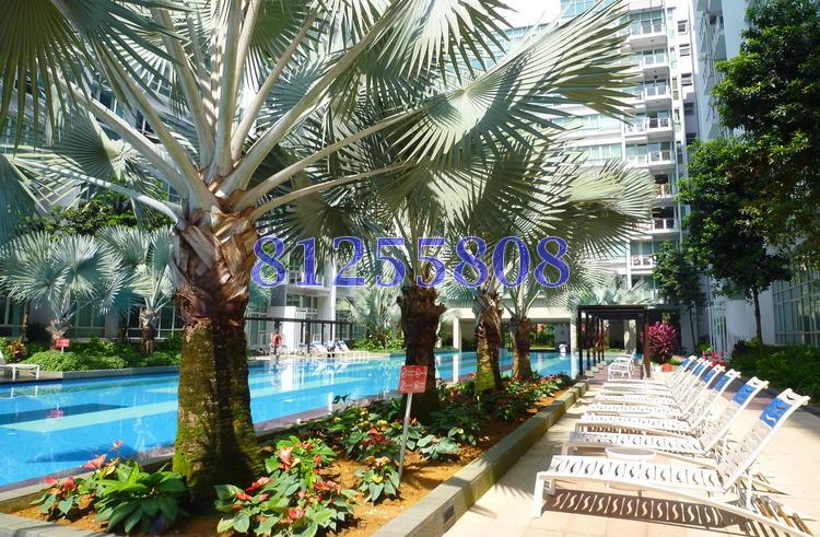 The Nexus (D21), Condominium #93048302